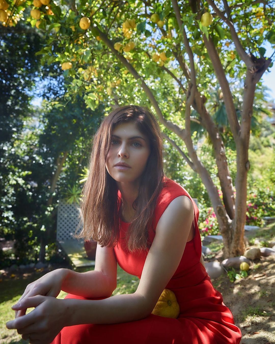 Alexandra Daddario 18 Alexandra Daddario 17 New Hot